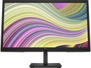 HP P22v G5 FHD Monitor(64V81AS)