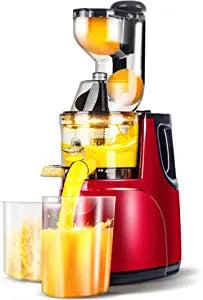 Rebune RE-2-080 Slow Juicer  - Two pieces 1000ML juicer cup, Easy to clean