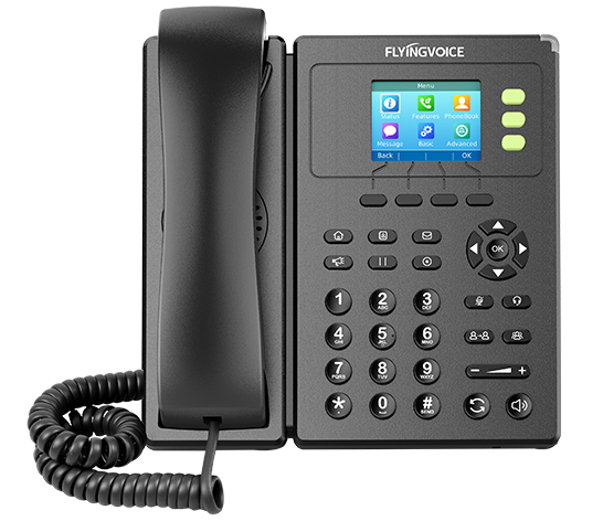 Flyingvoice (FIP11CP) Wireless IP Phone