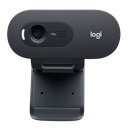 Logitech C505e HD Business Webcam