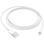 Apple Cable for iPad Air, iPad 6th Gen, iPad Mini & iPhones (MQUE2ZM/A)