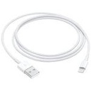 Apple Cable for iPad Air, iPad 6th Gen, iPad Mini & iPhones (MQUE2ZM/A)