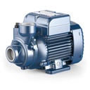 Pedrollo PKm60 0.5HP Peripheral impeller Water Pump – Efficient & Durable Domestic & Industrial Pump