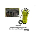 Premier QX10-38-2.2 38m 3HP 2″ Mining Pump – Heavy Duty High-Pressure Water Pump for Mining & Construction