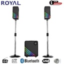 Royal R905 3.1 Channel Multimedia Bluetooth Subwoofer Speaker System