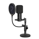 Ryms AX100D 7 Cardioid Condenser XLR Microphone